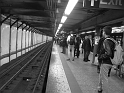 Kids-NYC_Subway_3-2014 (17)